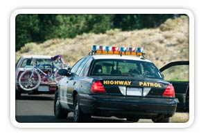 Speeding Ticket Class Online